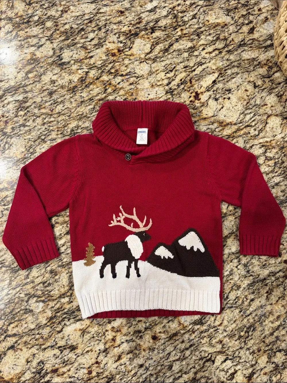 Gymboree Boys’ Sweater